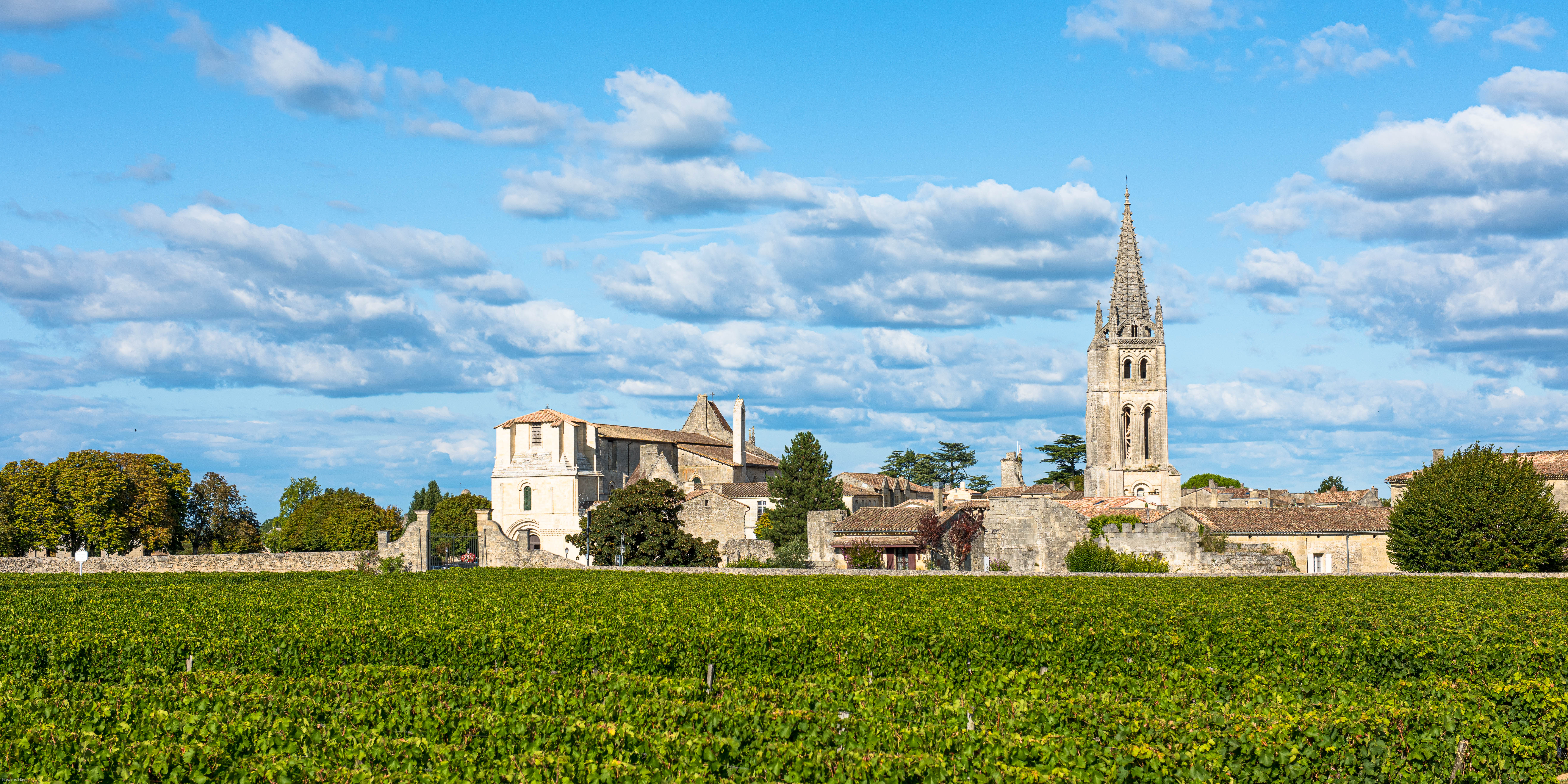 View of old town of St-Emilion and vineyards